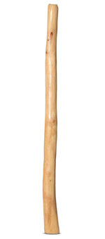 Medium Size Natural Finish Didgeridoo (TW1239)